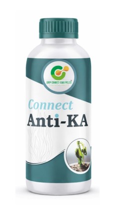 Connect Anti-KA